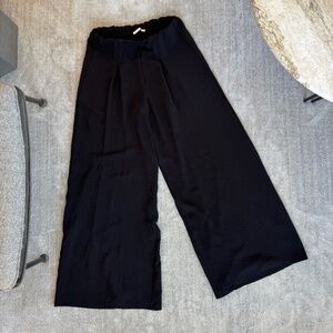 Zara Wide Leg Pleated Pants NWOT